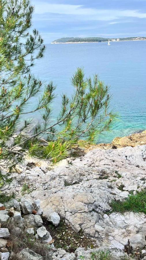 Villa Claudia Lemon Appartment Premantura Dış mekan fotoğraf